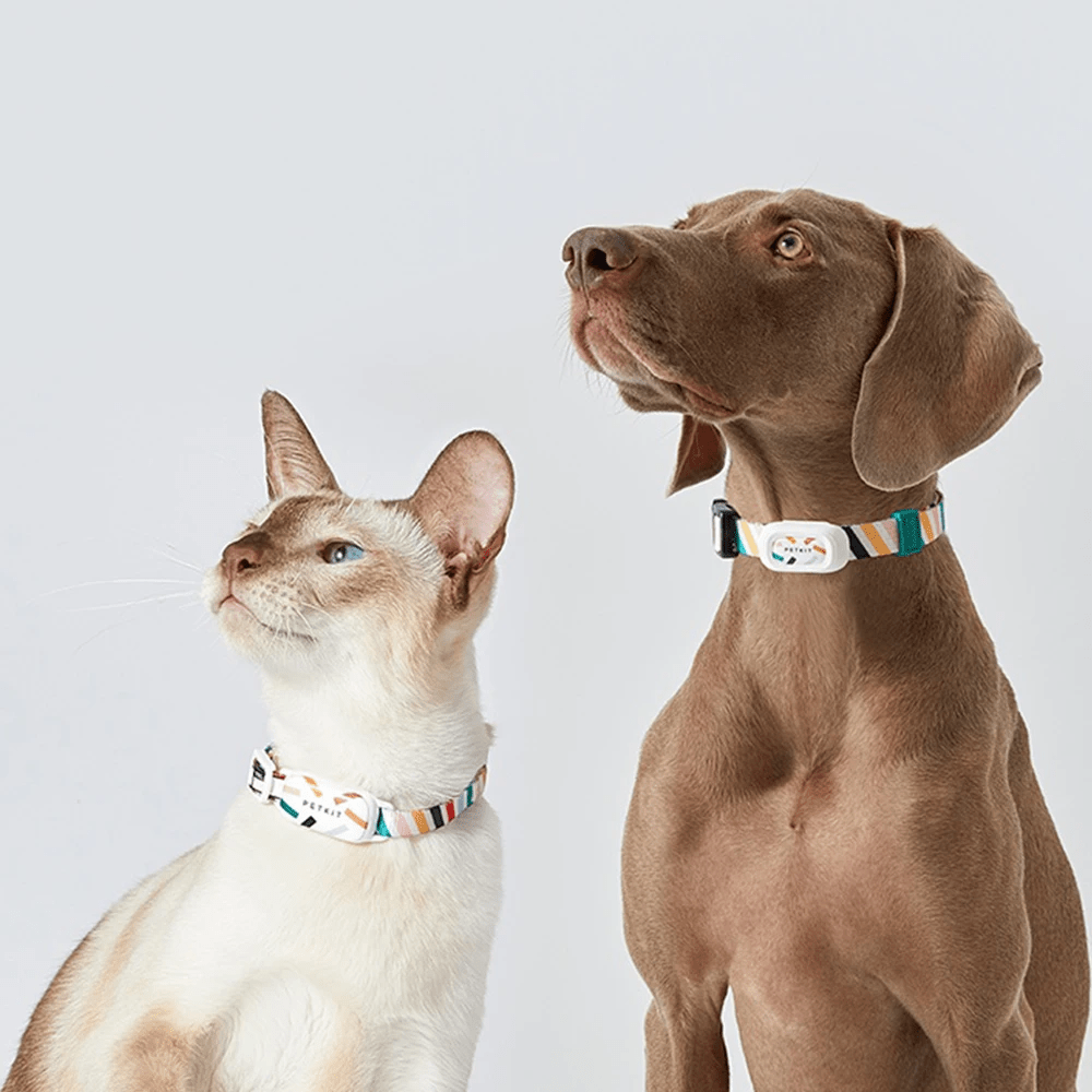 Smart Tracking Pet Collar
