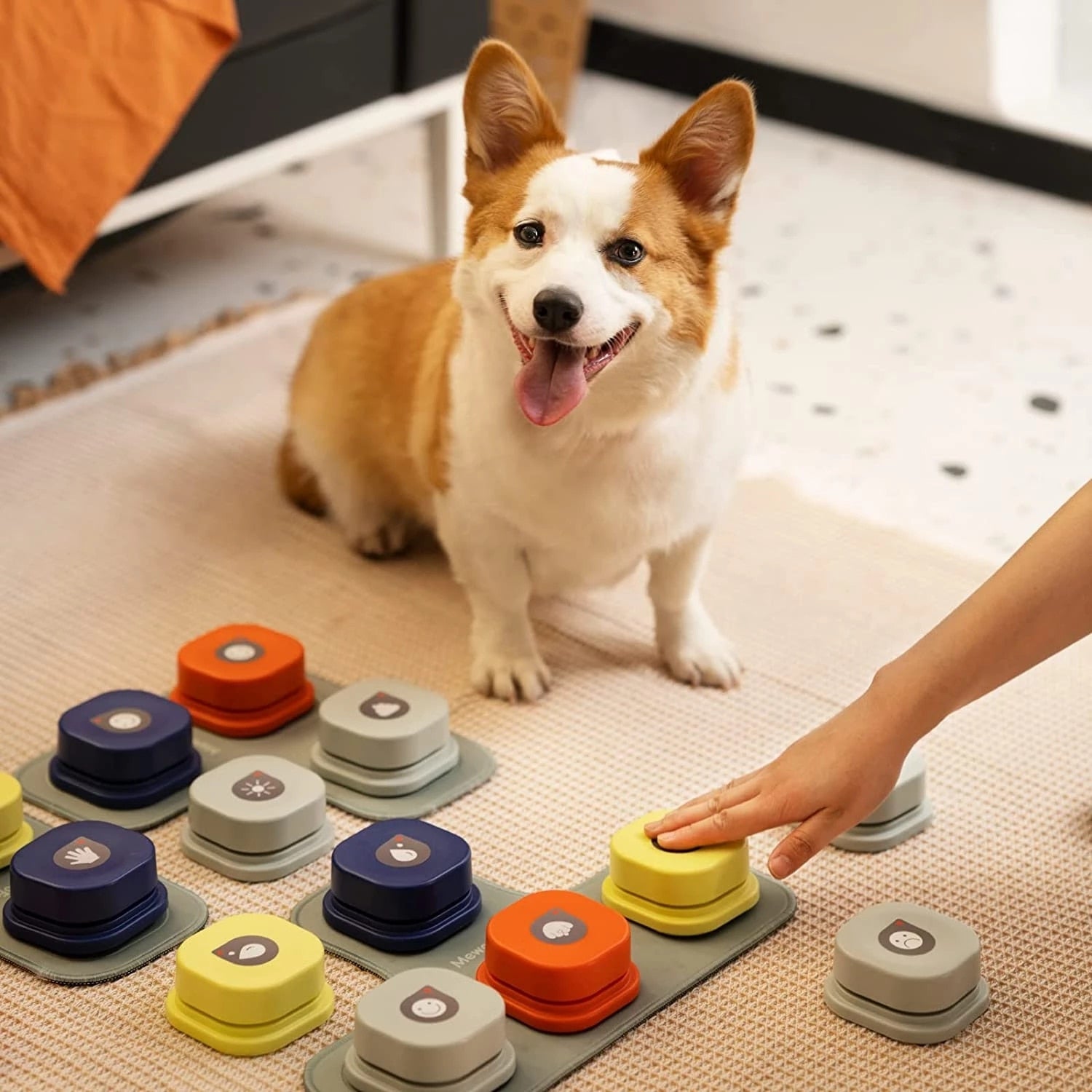 Interactive Pet Vocal Buttons for Training